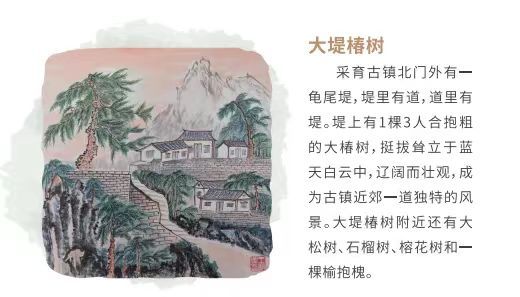 采育八景之一（大堤椿树）