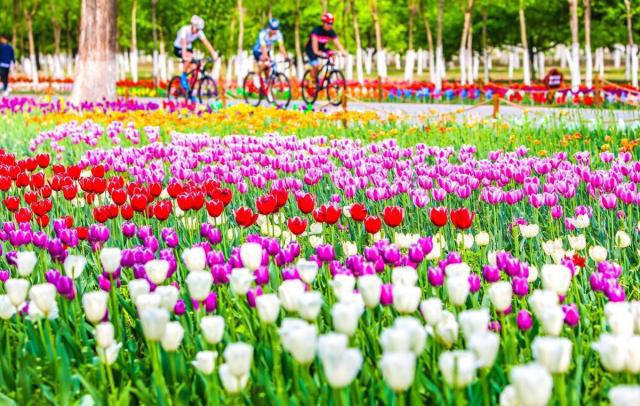 永定河绿色港湾